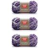 Red Heart Filati Scrubby, confezione da 3, Jelly 3 Count