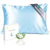 townssilk Federa per cuscino in seta 40x60cm - 100% seta da gelso, 19mm, seta su entrambi i lati, certificata Oeko-TEX, classe di qualità 6A, con cerniera, 1 pezzo, Iceblue