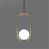 LEOSHI Lampadario semplice Lampada da soffitto ad anello ovale Lampada a sospensione a testa singola Lampade adatte per comodino, camera da letto, sala da pranzo Illuminazione a sospensione Made in China