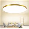 Mengjay Plafoniera LED 3000K-6000K Dimmerabile, Rotonda per Bagno, Camera da Letto, Cucina, Soggiorno, Balcone, Ufficio, Portico (Oro, 30W)