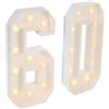 LKHDONG Lampada a LED con numeri - 60, lampada, cifre illuminate con 20 lampadine a LED, decorazione digitale, funzionamento a batteria, decorazione numerica per compleanno, anniversario, festa, 100