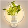 J.SUNUN Lampada da Parete LED Interni Anello Luce Caldo 3000K Applique da Parete Interno Moderno con Vaso da Fiori Lampada a Muro per Soggiorno Camera da Letto Corridoio Scale Illuminazione Bianco