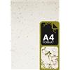 Netuno 25 fogli Carta Piantabile con Semi di Fiori formato A4 21 x 29,7 cm carta particolare piantabile biglietti con semi di fiori da piantare