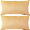 QOEUIUJ 2 Pezzi Federa Cuscino Rettangolare 30×60 30x50 70x45 Copricuscino Velluto 70x50 Decorative Copri Cuscini 60x80 con Invisibile Cerniera for Camera da Divano Letto Auto(Champagne,30x60cm 2pcs)
