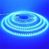 HEGEHE - Striscia LED 24V [10M, Blu],CRI85+,SMD2835,120 LEDs/m,design fai da te,adatta per camera da letto,soggiorno,sala giochi,cucina,decorazioni per feste e negozi - senza alimentatore