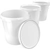 FixedByU 3x Secchio con coperchio da 16 litri bianco - adatto per alimenti, ermetico e stabile, secchio vuoto con manico e chiusura, coperchio in PP, adatto per alimenti, chimica, colore, detersivo in polvere