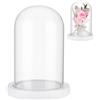 NBEADS Eternal Flower Display Dome Cloche In Vetro, con Campana di Vetro con Piedistallo In Legno Bianco per Decorazioni Floreali Artigianali per San, Festa di la Mamma, 11.3x16.3cm