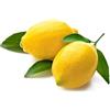 youdreamitaly LIMONE PRIMOFIORE A FOGLIA (KG. 1) - RICHIESTO ANCHE PER PREPARAZIONE LIMONCELLO
