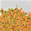 Il Contadino - Antichi Sapori MIX DI LEGUMI | Il Contadino | Legumi Secchi (400g)