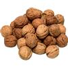 IGART FOOD & WOOD Noci con Guscio Naturali Biologiche Polacche Grezze Intatte Ricche di Omega-3 Fibra Proteine, 20kg
