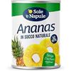 Generico Ananas Fette In Succo Naturale SoleNapole Pack 6 Lattine da 560 Gr
