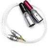 Ablet - Cavo Hi-Fi da TRRS maschio bilanciato da 2,5 mm a 2 XLR maschio per Astell&Kern AK100II, AK120II, AK240, AK380, AK320, DP-X1A, FIIO X5III, XDP-300R, iBasso DX200, KANN