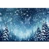 Ttincceer 1,5x1m Neve Notte Sfondo per la Fotografia Inverno Neve Foresta Allegro Natale Foto Sfondo Bianco Fiocco di Neve Invernale Paesaggio Sfondi Bambini Adulto Compleanno Ritratto Foto Prop