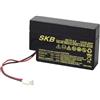 ISNATCH Batteria al piombo skb 12v 0,8ah sk12-0,8 con connettore amp per tende da sole Heim & Haus, 12V, Lead-Acid