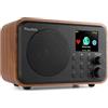 Audizio Vicenza radio Internet DAB Radio con Bluetooth 5.1 con telecomando, WLAN, batteria da 10 ore, linea out, radio da cucina, FM/FM, cavo di ricarica USB-C - DAB Plus Radio (Marrone)