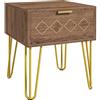 HOMCOM Comodini Moderni con Cassetto Set 2 39.5x41x49 cm Marrone e Oro