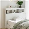IBUQDDV Testiere Letto Matrimoniale Testiera Letto Una Piazza E Mezza Testata Letto Matrimoniale Spalliera Letto Singolo Testiera con Contenitore a LED Bianca 120x17x102 cm per Camera Degli Ospiti Salone