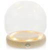 Zerodeko Globo a Cupola di con Luce: Decorazione Terrario in Trasparente Cupola di Visualizzazione Globo a Cloche in Trasparente per Figure di Fiori Sfere di Cristallo 12