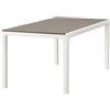 Viscio Trading Harmony Tavolo, Plastica, Tortora, 160x90x9.6 cm