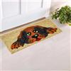 parpyon® Zerbino Ingresso casa Divertente Vulcano Piccolo cm 53x23 Tappeto Antiscivolo entrata scalino per Interno da Esterno tappeti Moderni in Cocco (CM 23X53, Disegno-4)