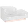 HOMCOM Comodino Moderno con 16 Luci LED RGB a 2Cassetti 70x37x38cm Bianco