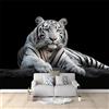 Generic Carta Da Parati Nero Animale Tigre Bianca modella Decorazione, Carta da parati Impermeabile, 300 x 210 cm Decorazione murale per camera da letto soggiorno decorazione della casa