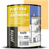 JOVIRA PINTURAS Pittura Antimuffa. Previene la muffa. Resistente alla comparsa di muffe sui muri. Aspetto opaco. (750 Millilitri, Grano)