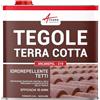 ARCANE INDUSTRIES Idrorepellente per tegole, incolore per tegole in terracotta - ARCAREPEL 219-2,5 L (fino a 12,5 m²) - ARCANE INDUSTRIES