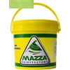 MAZZA Pittura Decorativa Per Interni Effetto Sabbiato Lt 5 Sabbia Colorificio Vernice Muro Effetto Metallizzato Cangiante Perlescente Idropittura Murale Colorata (Verde Prato Sbp3072)