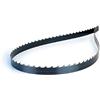 AFFILAUTENSILI MANZANESE LAMA PER SEGA A NASTRO IN ACCIAIO AL CARBONIO CON DENTE TEMPERATO E DORSO FLESSIBILE DA 1820 mm X 10 mm X 0,6 mm DENTI PER POLLICE 3