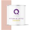 Q-COVER Voc - Vernice in lattice, lavabile, 2 l (circa 14 m²), colore Salmone chiaro, colore per interni, colore da parete, classe 2, colore opaco, per chi soffre di allergie, resistente all'abrasione