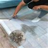 tow000ack Pannelli in Policarbonato Piastre per Serra,Resistente ai raggi UV,Impermeabile,Pensilina Tettoia per Porta Balcone Esterno,Lastra di Ricambio per Carport Giardino,Personalizzabile (0.8 * 2m)