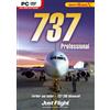 Microsoft 737 Professional [Edizione: Regno Unito]