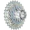 Campagnolo Cmp1835, Pignoni, Argento, 11 velocità