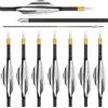 AMEYXGS 31 Pollici Frecce in Carbonio ID 4,2 mm Frecce da Caccia 700 800 900 1000 Spina Frecce Arco da Competizione per Arco Ricurvo Arco Compound 6/12 Pezzi (700 Spine/+/- 0.001, Argento-12pcs)