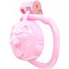 Hdynasty Mini Gabbia di inversione Fitness da Uomo con 5 Anelli curvi fissi (43 mm/46 mm/49 mm/51 mm/55 mm) (Rosa, 15-1)