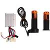 Socobeta Regolatore Spazzolato per Bici Elettrica 12V 250W, Set di Impugnature per Acceleratore in Citrino Regolatore di velocità per Bici Elettrica per Tricicli Moto