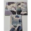 Set fumetti giapponesi Yaoi BL / TOKITA HONOJI e fino a quando non ti tocco