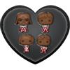 Funko Pocket POP! Star Wars Valentines Box 4 Pack - Darth Vader - (Choc) - Portachiavi - Mini Figura in Vinile da Collezione Novità Portachiavi - Riempitivi per Calze - Idea Regalo