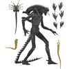 NECA Ultimate Xenomorph xx121 Scale Action Figura 18 cm Alien: Romolo