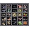 Feldherr FS050A007 Vassoio in Schiuma Compatibile con Shadows of Brimstone - 25 Scomparti