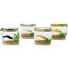 Generic Elegante e realistico acquario in miniatura per gli appassionati di modelli