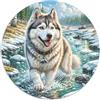OJASDBDJE Siberian Husky 1000 Pezzi Jigsaw Puzzle Rotondo Per Lei O Lui Regalo Arte Ecofriendly 1000pcs (67.5x67.5cm)