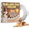 Inpumo Collare Antiparassitario Per Cani, Collare Antipulci e Zecche, Adatto a Cani di Tutte Le Taglie, Formula Naturale Sicura e Materiale Impermeabile, Durata 12 Mesi (1 pack)