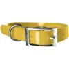 Leathercrafter Europe Biothane Gold - Collare per cani da 2,5 cm di larghezza, lunghezza a scelta, ultra resistente (60 cm, giallo 317)