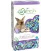 Carefresh Lettiera per Animali Domestici in Carta Naturale Senza Polvere, con Controllo degli odori, 10 l