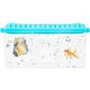 Wisylizv Betta - Contenitore trasparente per acquario con divisori rimovibili, kit di base per acquario, multi scomparti, per decorare la casa e l'appartamento