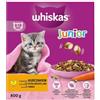 Whiskas Junior cibo secco pollo, 2 x 0,8 kg (2 confezioni) in cartone - cibo secco per gatti in crescita - Kibbles extra piccoli per gattini (2 - 12 mesi)