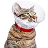 Croci Collare Elisabettiano per cani taglia XXS, Collare Elisabetta a cono per la protezione e cura di cani e gatti, previene graffi, morsi e leccate, 7,5 cm