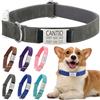 Rainsar Collare Cane Personalizzato Con Nome - Targhette Con Nome Incise Personalizzate, Collari Comodi e Unici, Adatti a Cani e Gatti Di Piccola, Media e Grande Taglia (L,Grigio)